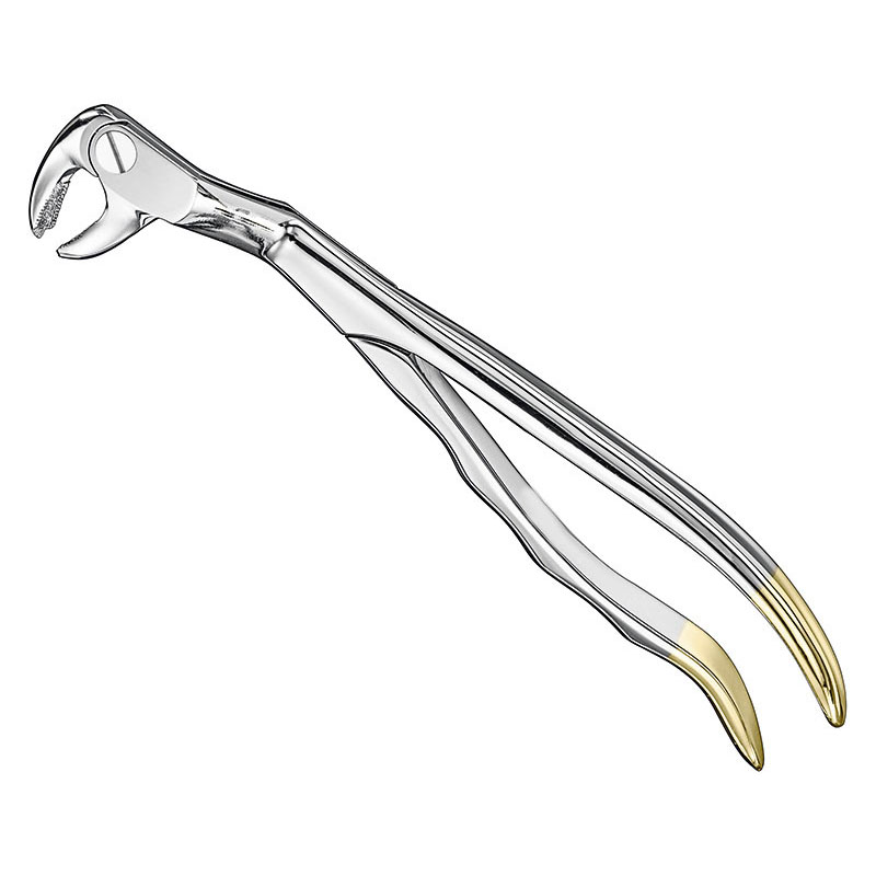 ROUTURIER, extr.fcps., anat.