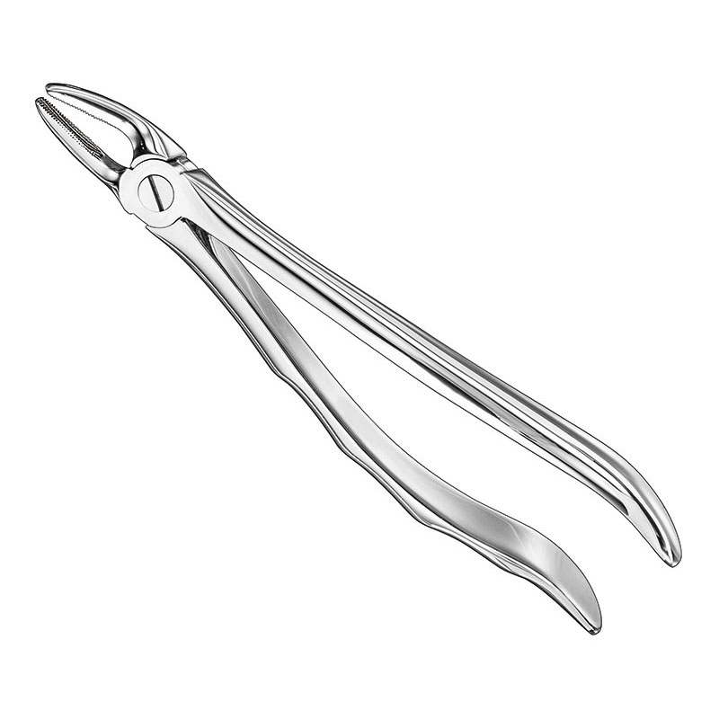 Extracting forceps, anat.