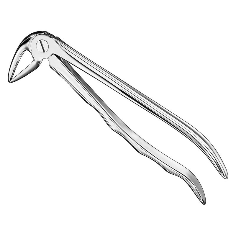 Extracting forceps, anat.